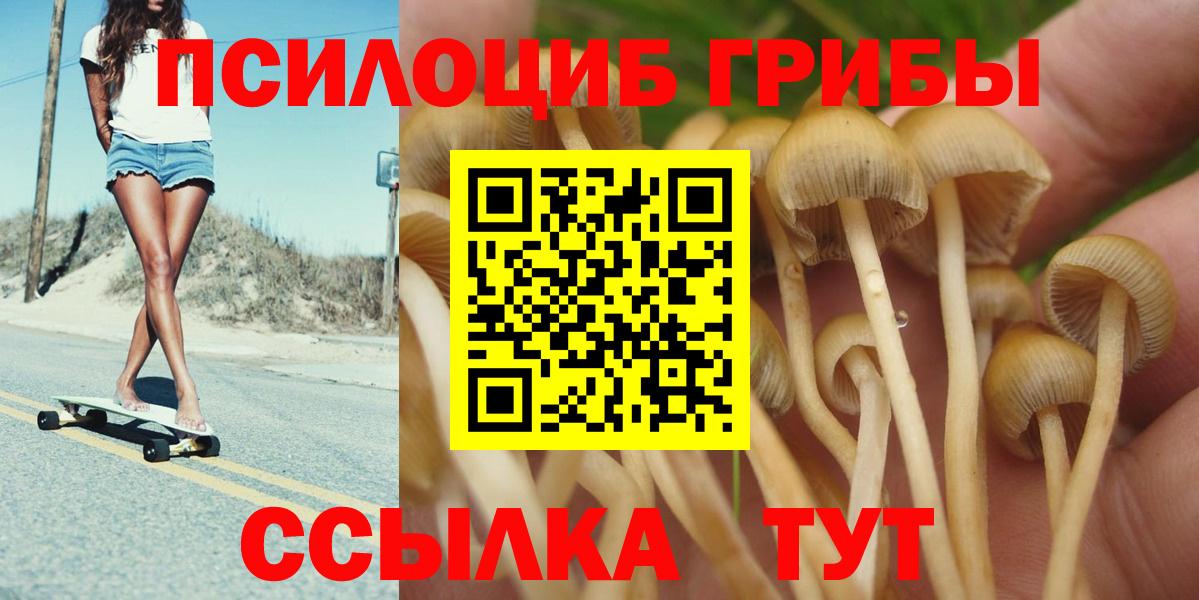 Муравленко  Псилоцибиновые грибы MAGIC MUSHROOMS  Вход с VPN  Галлюциногенные грибы Cubensis 